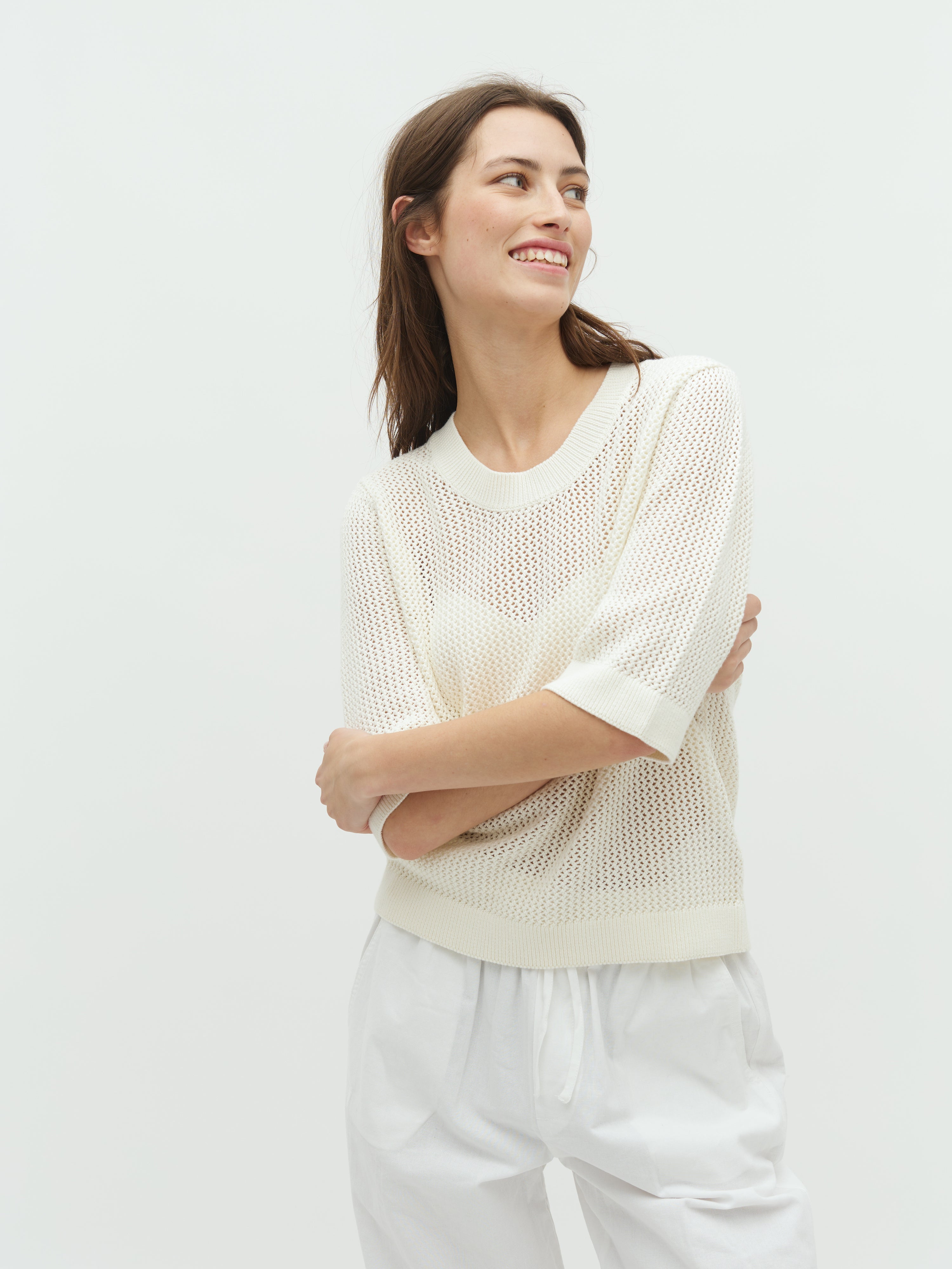 Neale-M_Sugar_Model_0