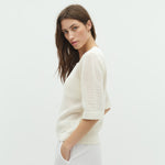 Neale-M_Sugar_Model_2