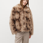 Corvia-M_Brown Shadow_Model_1