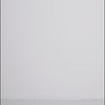 Molenda-M_Green Leaf_Video_0