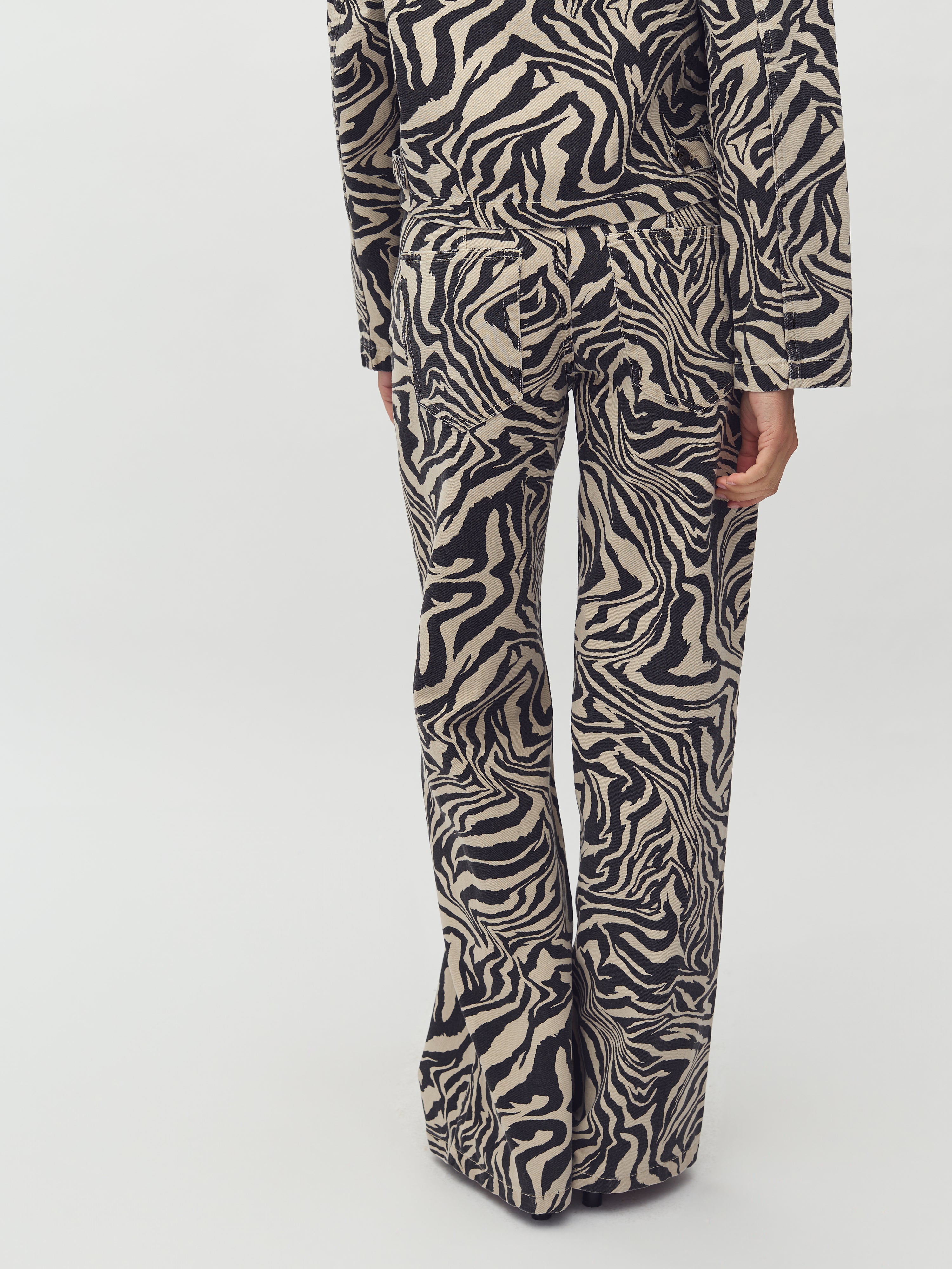 Pyras-M_Zebriana Print_Model_