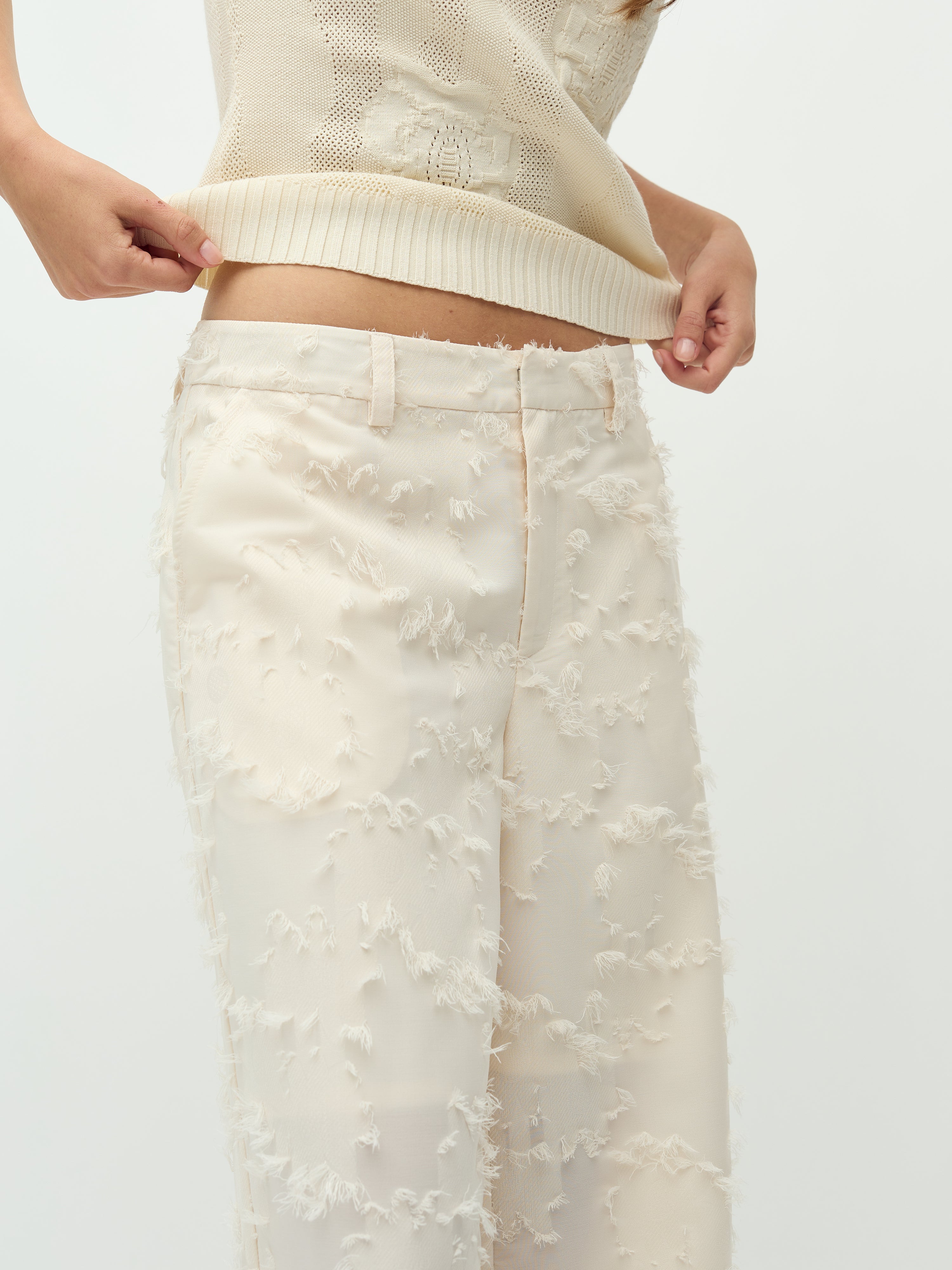 Cavia Long-M_Sugar_Model_4