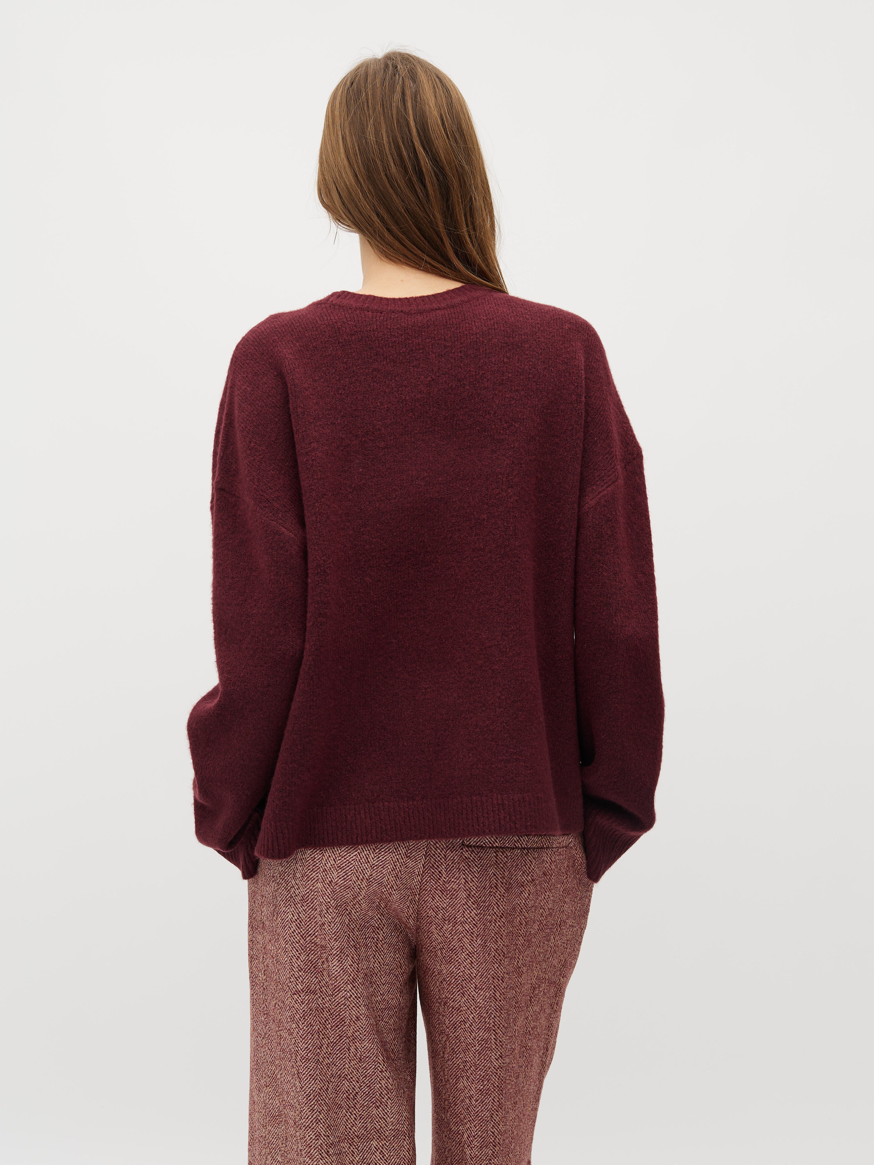 Sionan-M_Fig_Model_2