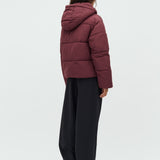 Mishal-M_Vineyard Wine_Model_2