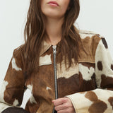 Josse-M_Brown Cow_Model_1