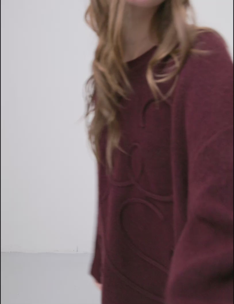 Sionan-M_Fig_Video_0