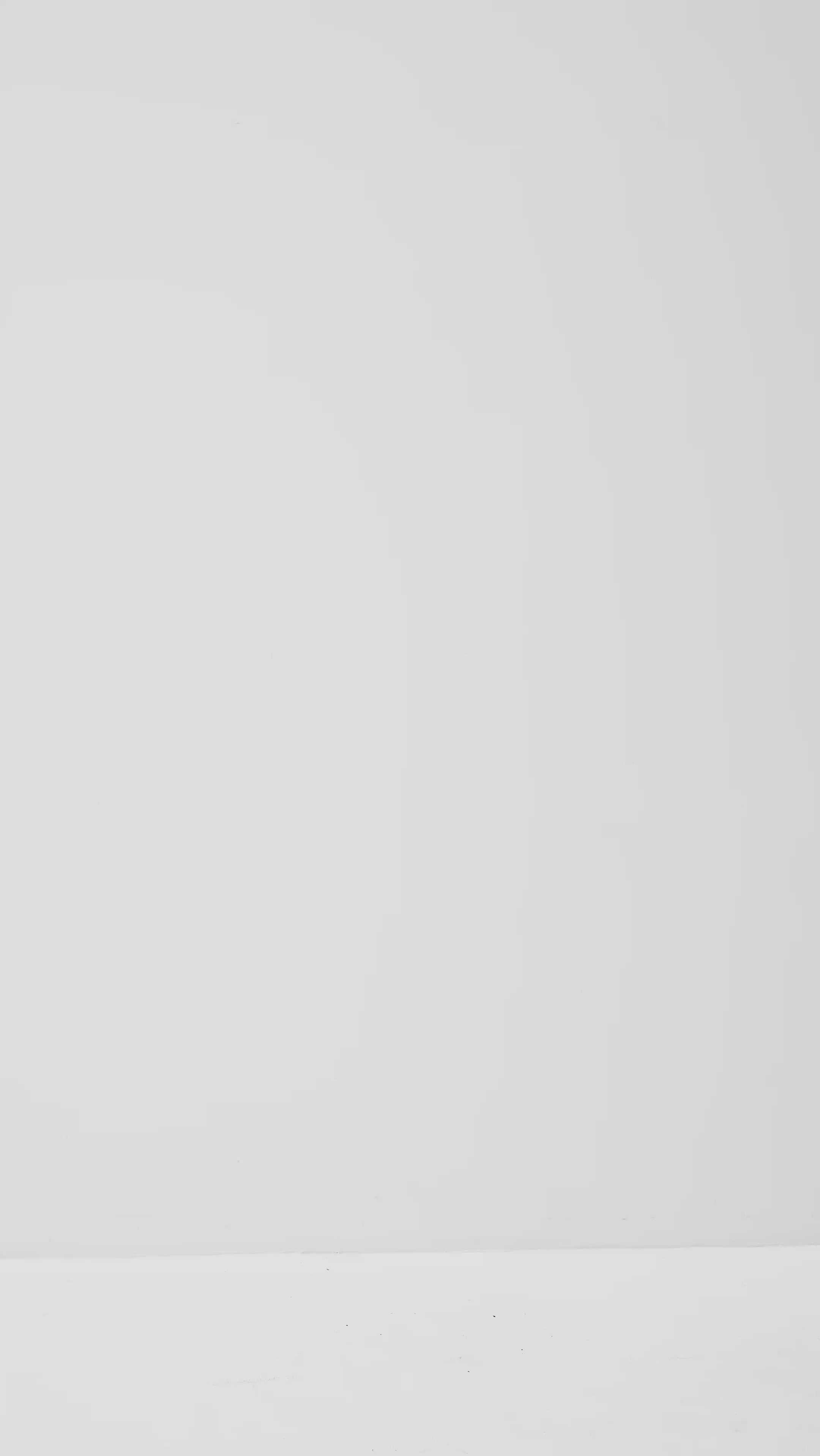 Lucy-M_Medium Melange_Video_3