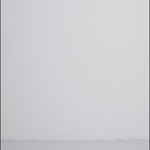 Isata-M_Grey Cow_Video_1